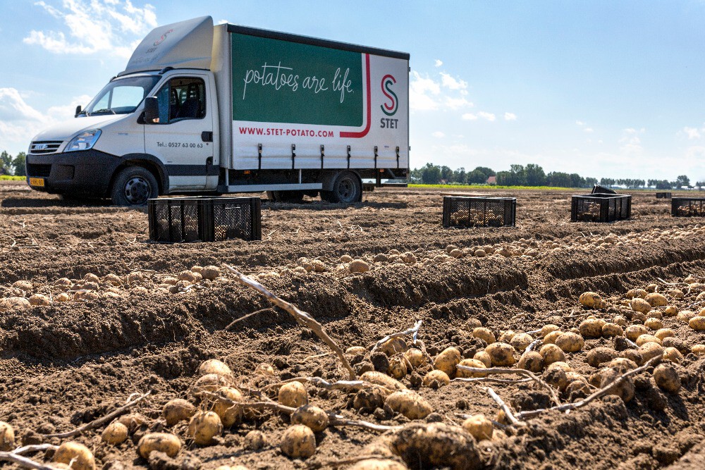 Harvesting Potatoes in Emmeloord which is famous for potatoes